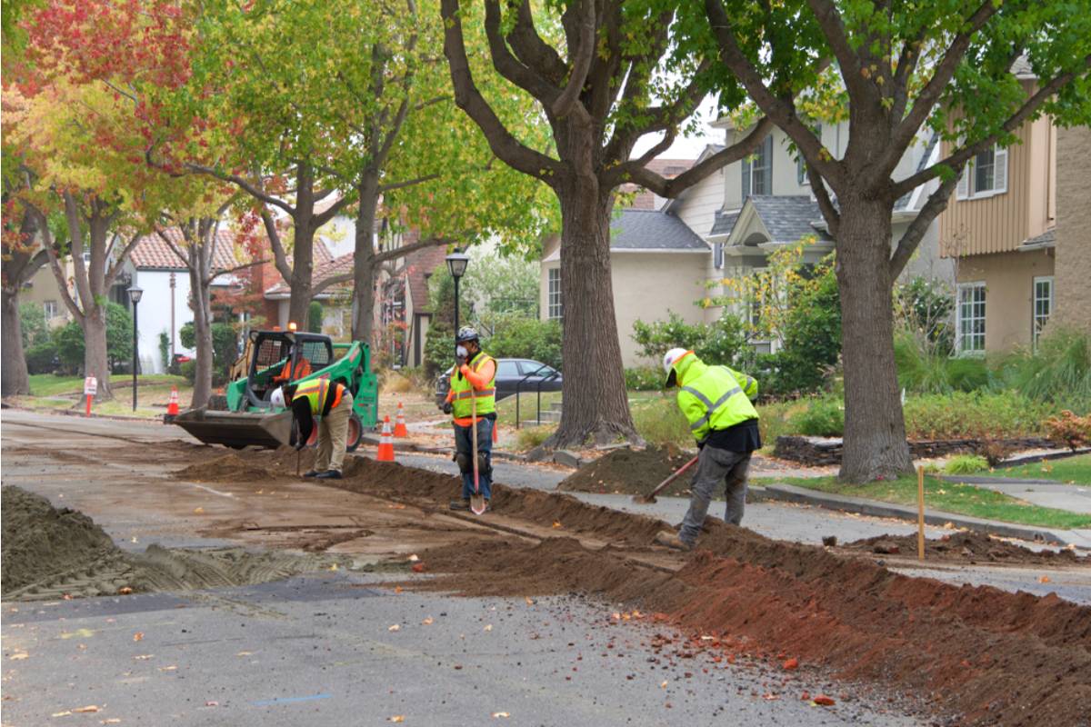 Homeowner Says a Fiber Line Was Buried Under Her Maple Tree, Then an Arborist Revealed What Was Hidden Beneath the Garden