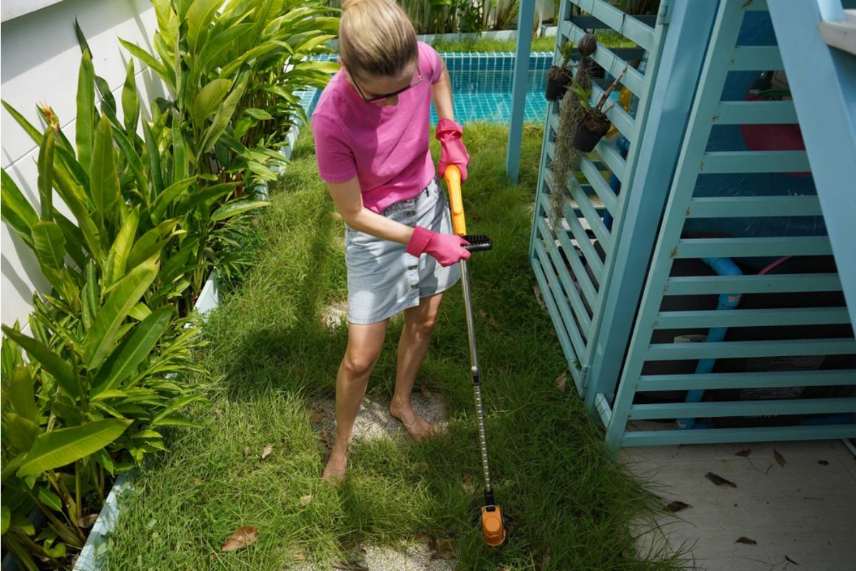 Homeowner Says a New ADU Neighbor Complained About Her Sunday Garden Chores at 7 30 AM, Then She Learned Why the Concrete Wall Was Suddenly So Important