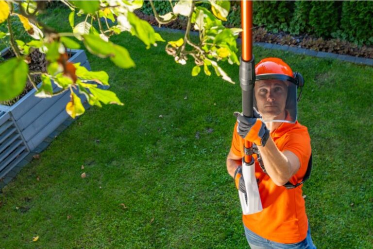 Homeowner Says a Tree Trimming Company Arrived for Her Neighbor’s Overhanging Branches, Then She Realized the Biggest Risk Wasn’t the Fence