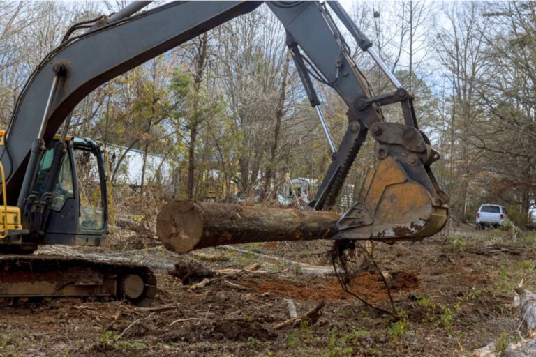 Homeowner Watches a Beloved Tree-Lined Road Disappear Under New Development, Then Learns What Happens to the Trees Developers Are Required to Replace