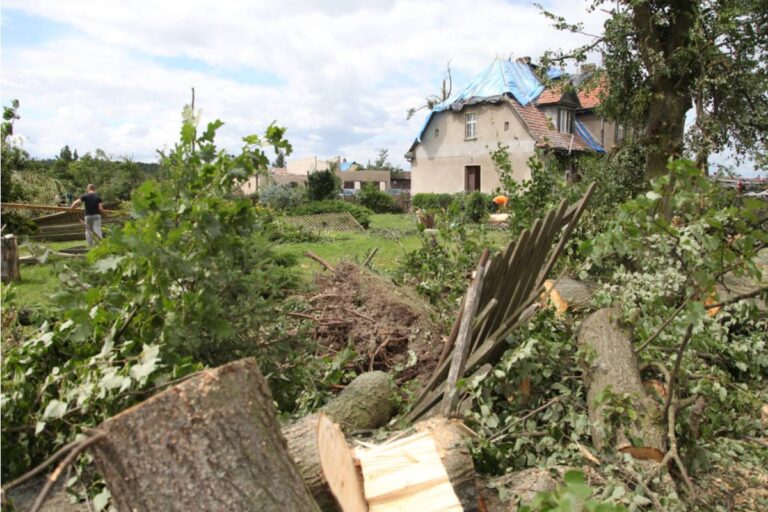Homeowners Woke Up to Find Their Vegetable Garden Torn Apart Overnight, Then the Ruined Plants Gave Them One More Reason to Start Again