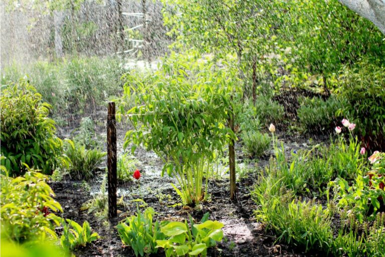Homeowner Says a City Water Department Approved Her Rain Garden Design in Writing, Then Billed Her for "Unauthorized Stormwater Modification" a Year Later