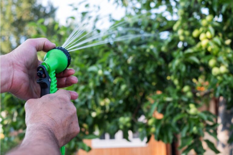 Homeowner Says She Watered Her Neighbor's Dying Garden While They Were Away, Then the Man Who Was Supposed to Watch the House Became Shockingly Protective of the Hose