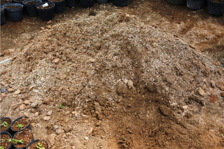 A Family Accepted “Free Dirt” For Their Yard, Then Learned The Five Dump Trucks Had Left Behind A $100,000 Nightmare