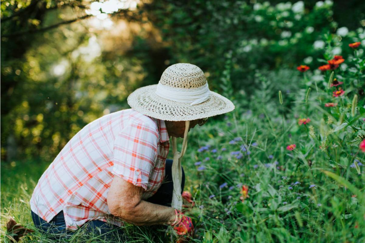 A Woman Waited Until Her Own Retirement to Finally Reclaim the Garden Her Mother Was Forced to Abandon Decades Earlier, Then Learned Exactly Why Her Mother Had Left