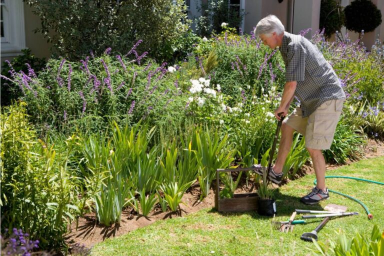A Veteran Spent Years Building a Garden as Part of His Recovery, Then a New Neighbor Complained It Was "Too Much" to Look At From Their Window