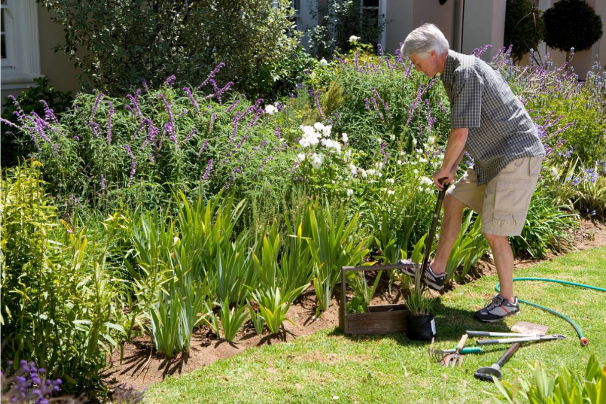 A Veteran Spent Years Building a Garden as Part of His Recovery, Then a New Neighbor Complained It Was "Too Much" to Look At From Their Window