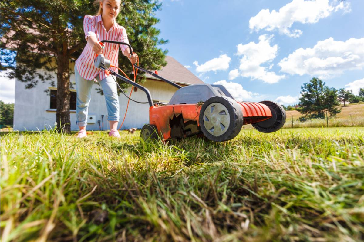 Homeowner Says Her Neighbor Kept Mowing Three Feet Into Her Yard, Then She Realized the Problem Was Much Bigger Than the Grass