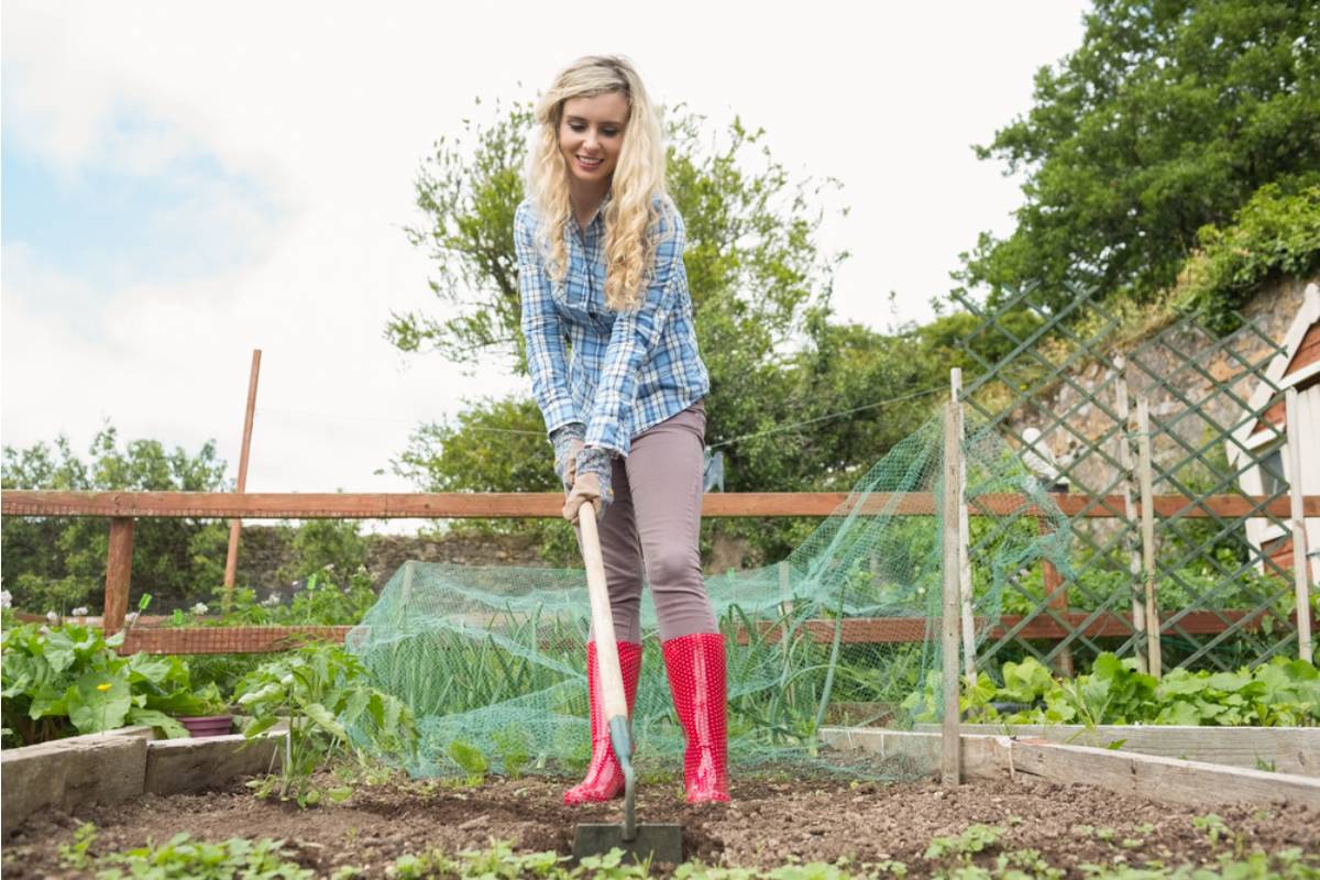 What One Woman Found Buried Beneath Her Rose Bed Changed Everything She Thought She Knew About the Previous Owners