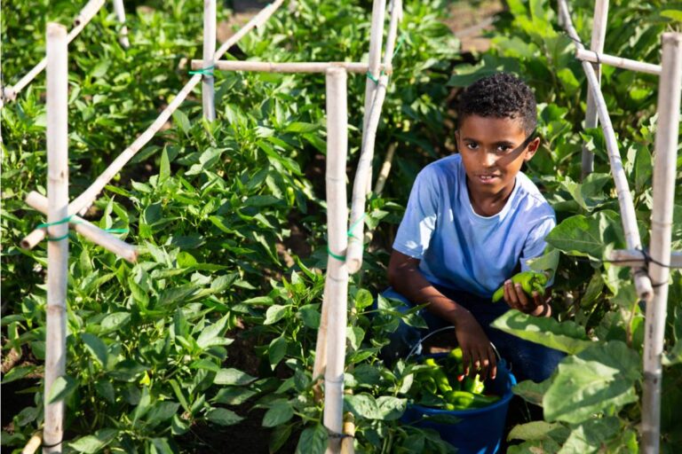 Homeowner Says Her Step-Grandson Offered to Help Harvest Before a Family Reunion, Then Picked Everything Two Weeks Early Because He Didn't Know What Ripe Looked Like