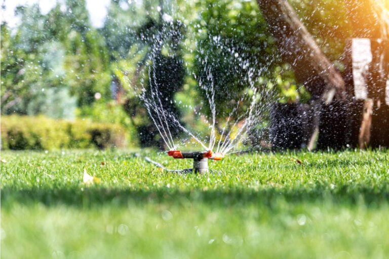 Homeowner Says Her Nephew Offered to Set Up a Sprinkler Timer While Staying Over, Then Left the Whole Garden Underwater for a Week While He Was Away