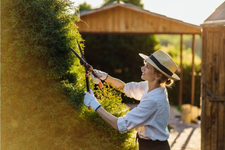 A Man Finally Understood Why His Mother Never Let Anyone Trim the Hedges, After Finding What She'd Hidden Inside One of Them for Decades
