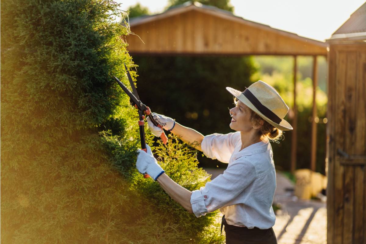 A Man Finally Understood Why His Mother Never Let Anyone Trim the Hedges, After Finding What She'd Hidden Inside One of Them for Decades