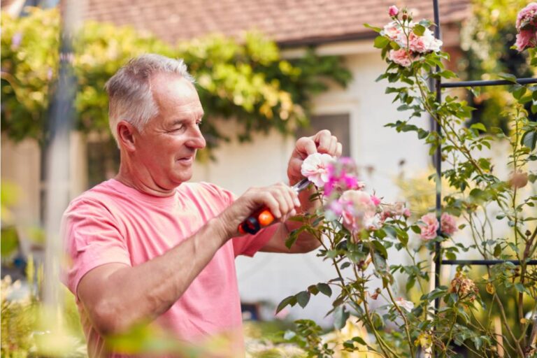 A Man Spent a Decade Rebuilding the Exact Rose Garden From His Childhood Home After It Sold, Then the New Owners of the Original House Asked Him to Stop Visiting the Fence Line to Compare