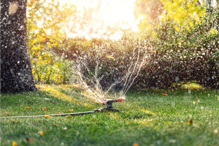 Gardener Says a Neighbor's New Smart Sprinkler System Was Accidentally Synced to Water Her Garden Instead of His Own for Weeks