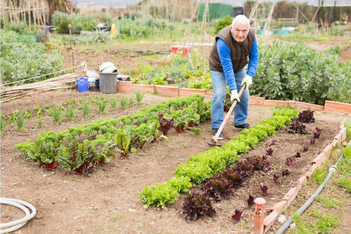 A Retired Firefighter Spent a Decade Building a Garden Memorial for Coworkers He'd Lost, Then a New HOA President Called It "Unauthorized Signage" and Demanded It Come Down