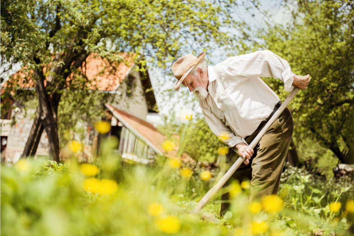 A Retired Firefighter Spent Years Building a Garden as a Tribute to a Fallen Coworker, Then a New Neighbor Asked Him to "Tone It Down"