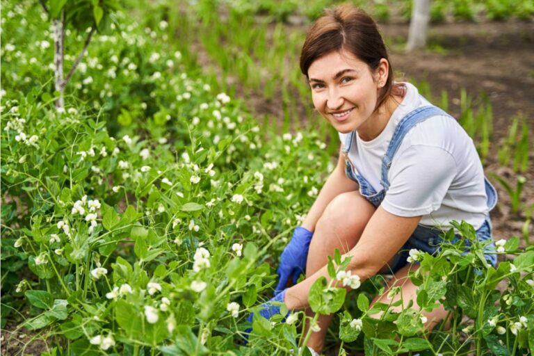 Gardener Says a Neighbor Keeps Reporting Her Garden to a Homeowners App Under a Fake Name to Avoid Being Identified