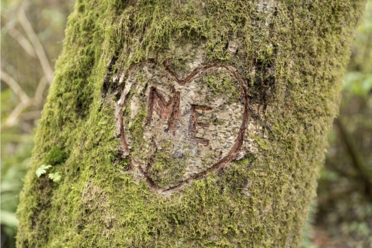 She Always Wondered About the Faded Initials Carved Into a Garden Stone, Until a Distant Relative Finally Explained the Story