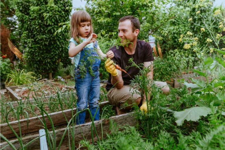A Father Taught His Daughter to Garden in a Rented Backyard for Ten Years, Then the Landlord Sold the House the Same Month She Left for College