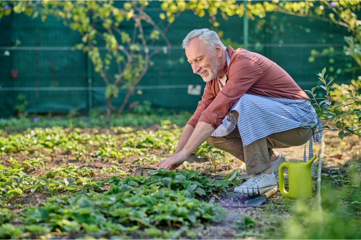 Everyone Assumed the Retired Judge Next Door Just Enjoyed Solitude, Until Neighbors Learned Why He Only Gardened After Dark