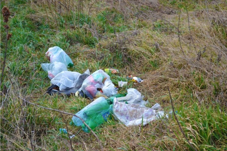 A Neighbor’s Garden Harassment Gets Worse After Trash Starts Falling From Three Floors Above