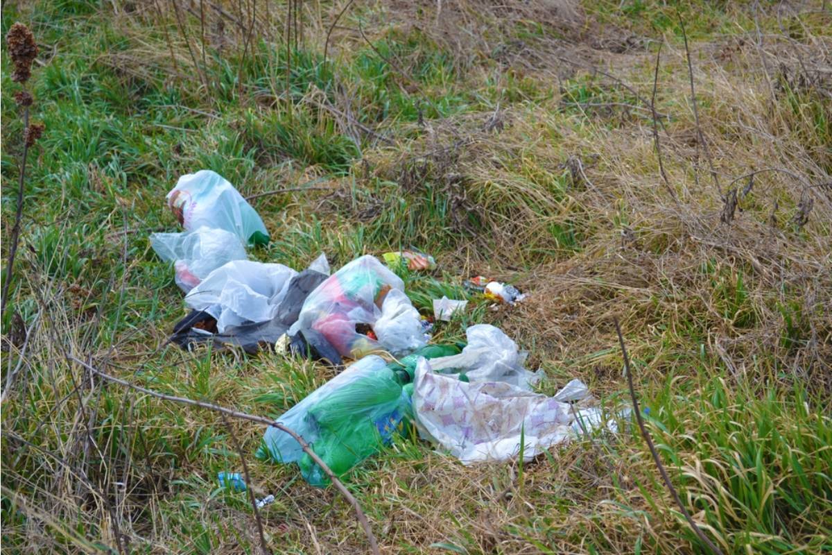 A Neighbor’s Garden Harassment Gets Worse After Trash Starts Falling From Three Floors Above