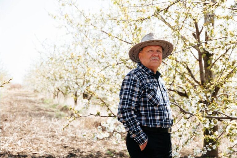 A Man Waited Until His Retirement to Finally Plant the Orchard His Father Never Got to Finish, Then Learned Half the Land Belonged to Someone Else