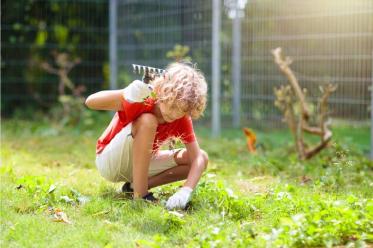 Homeowner Says Her Foster Son Offered to Clear Weeds Before an Inspection, Then Pulled Up Every Vegetable Seedling Along With Them