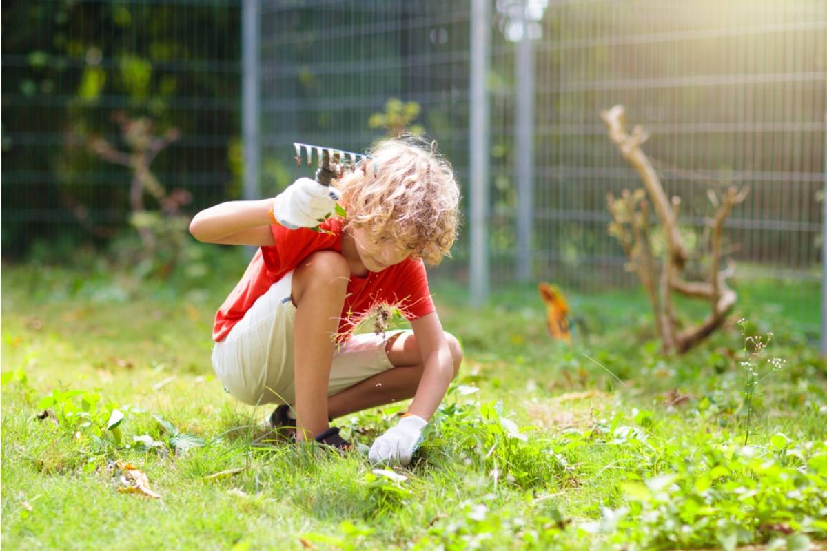 Homeowner Says Her Foster Son Offered to Clear Weeds Before an Inspection, Then Pulled Up Every Vegetable Seedling Along With Them