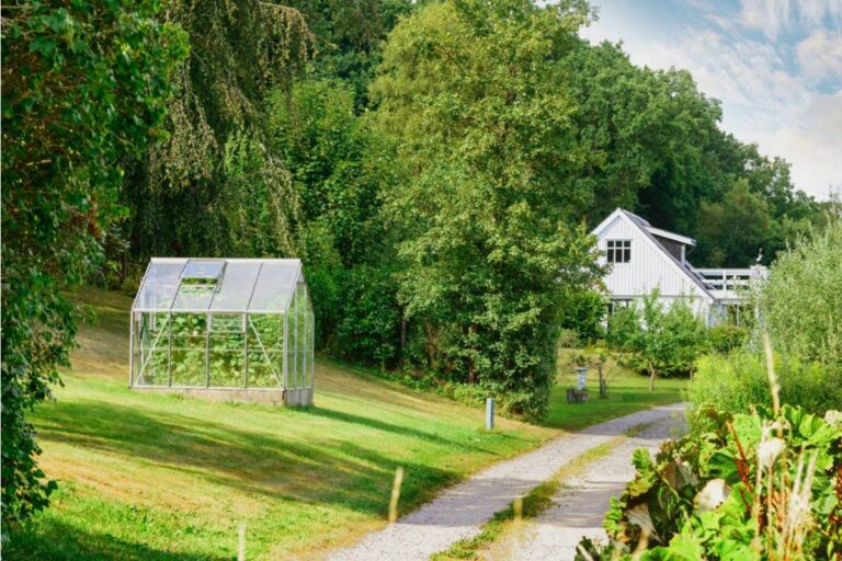 Everyone on the Street Thought the Abandoned Greenhouse Was Empty, Until the New Owners Found It Was Still Being Tended