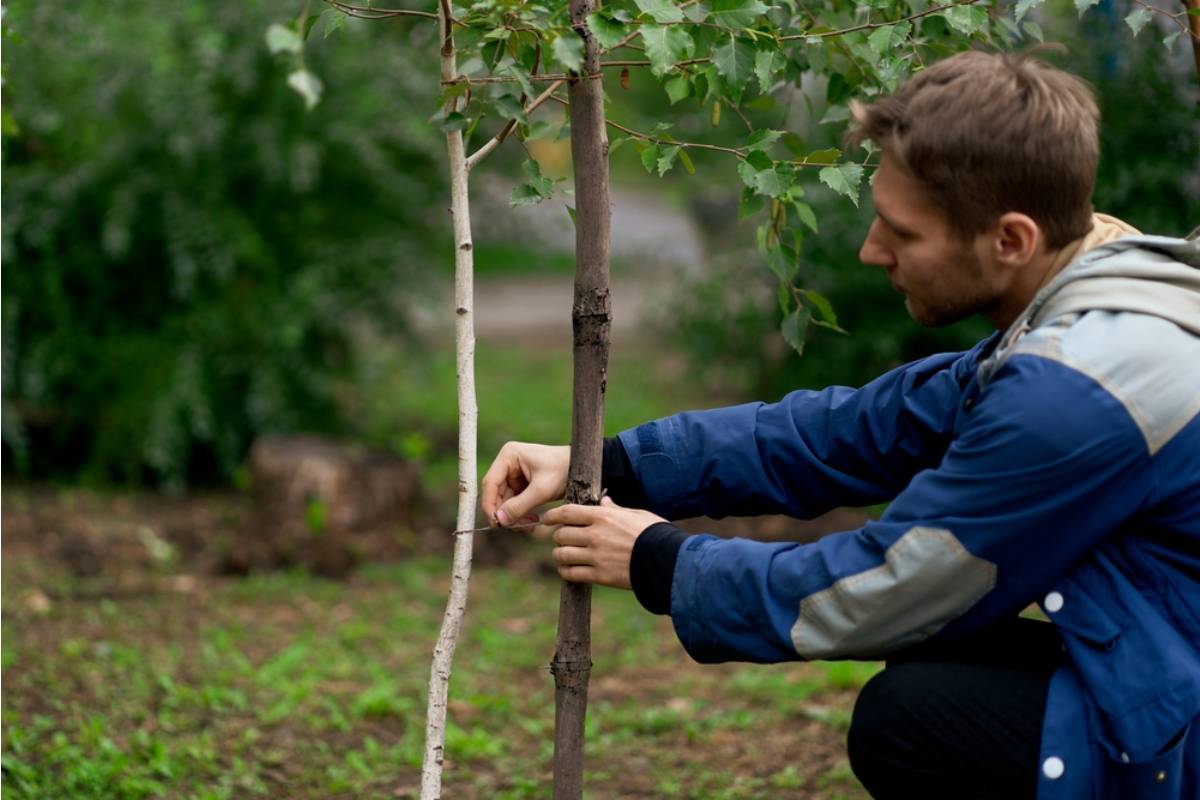 He Waited Fifteen Years to Plant the Orchard His Wife Wanted, Then His Neighbor Tried to Have It Classified as a Zoning Violation