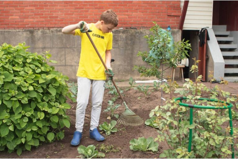 Gardener Says a Neighbor's Teenage Son Started a Lawn Care Business and Keeps "Accidentally" Mowing Into Her Flower Beds for New Customers to See
