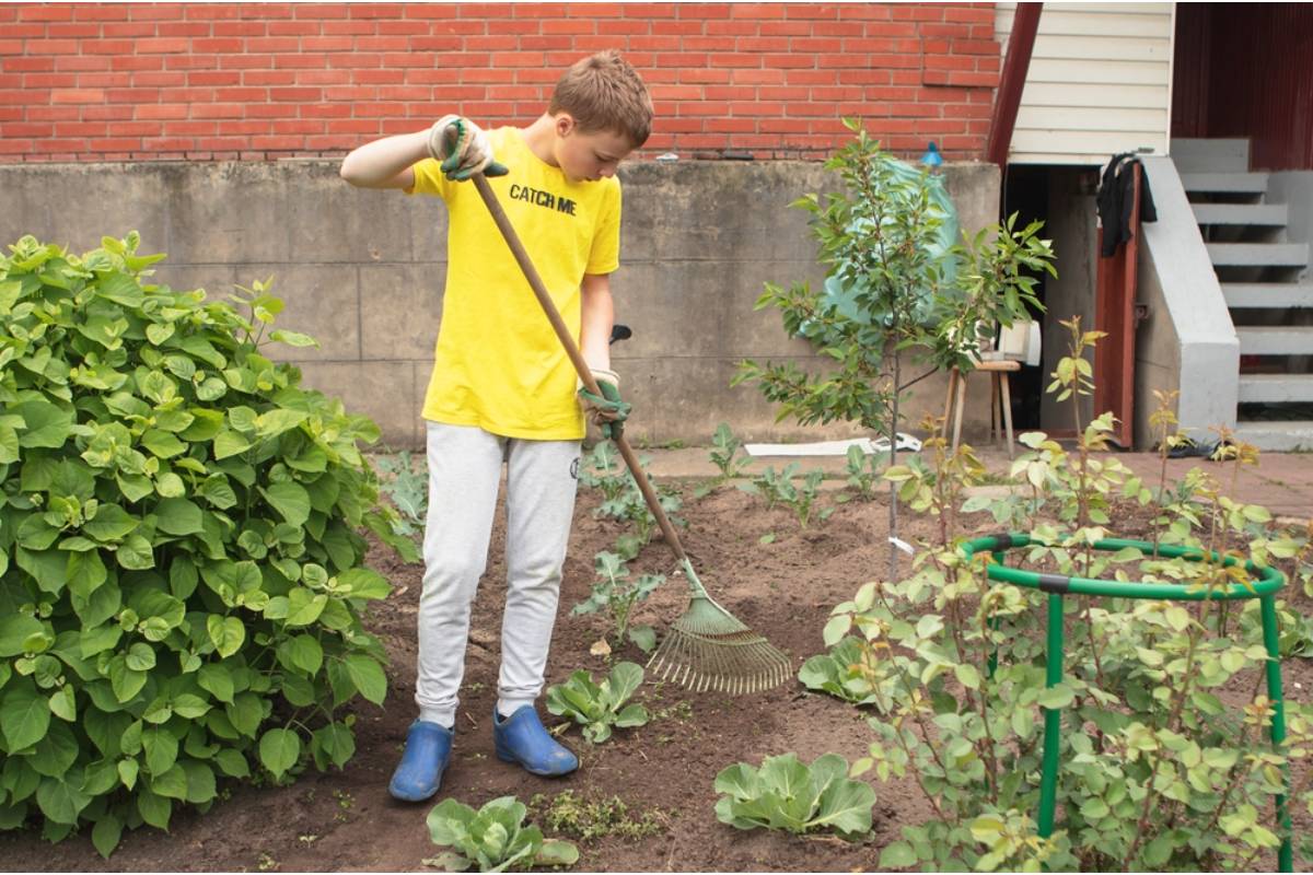 Gardener Says a Neighbor's Teenage Son Started a Lawn Care Business and Keeps "Accidentally" Mowing Into Her Flower Beds for New Customers to See