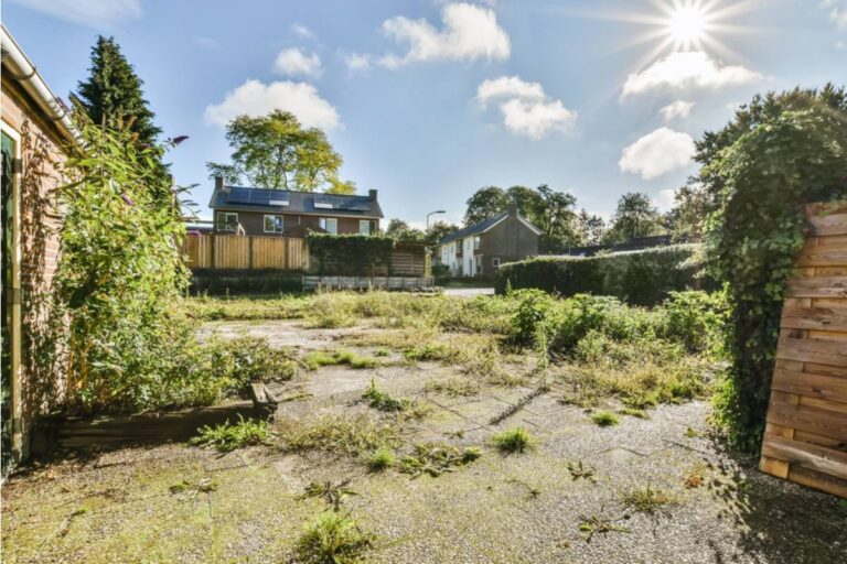 Homeowner Says New Neighbors Spent Weeks Quietly Renovating Their First House, Then Let the Yard Grow Into a Three-Foot-Tall Weed Jungle