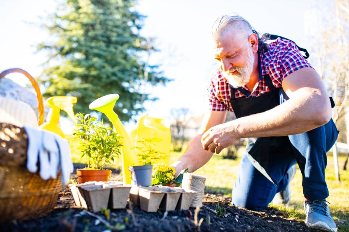 A Widower Kept Ordering the Exact Same Seed Catalog His Wife Used for Thirty Years, Then Learned Why the Company Had Never Actually Changed a Single Page