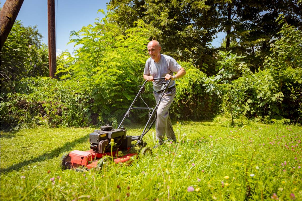 Everyone on the Block Assumed the Quiet Widower Just Liked Mowing at Odd Hours, Until They Learned He Was Tending His Late Wife's Grave Marker Hidden in the Hedge Line