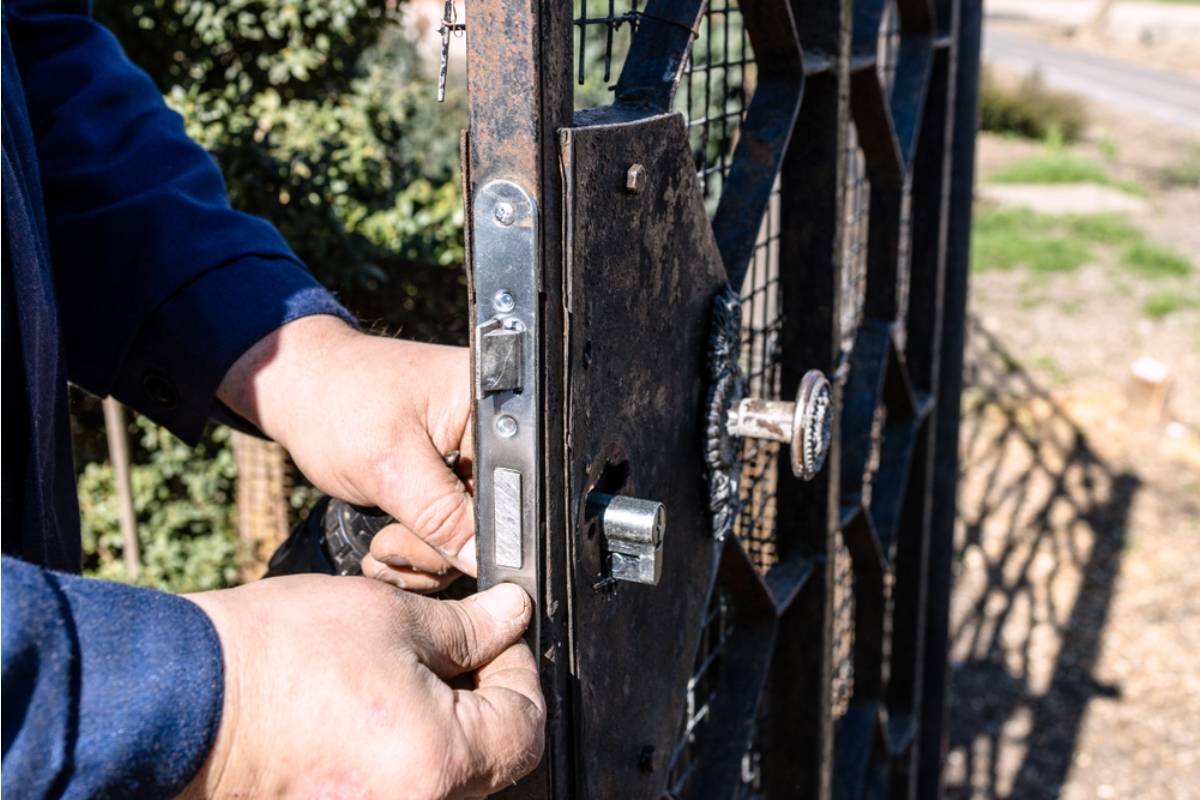 Homeowner Says Her Grandson Offered to Repair the Garden Gate Latch During a Visit, Then Left It Unlocked Long Enough for a Stray Dog to Destroy Every Seedling