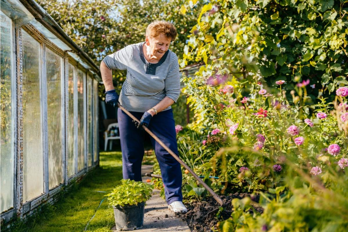 Nobody in the Family Understood Why Their Mother Refused Help in the Garden for Twenty Years, Until They Read What She'd Written in a Letter