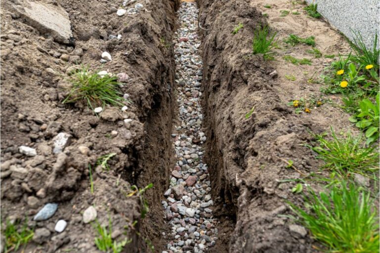 Homeowner Says His Neighbor's Landscaping Crew Left a Trench Across His Yard for Weeks, Killing the Grass Roots Underneath