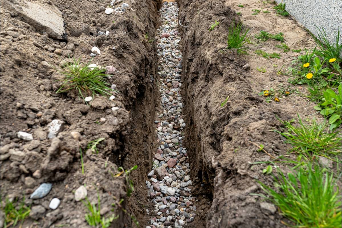 Homeowner Says His Neighbor's Landscaping Crew Left a Trench Across His Yard for Weeks, Killing the Grass Roots Underneath