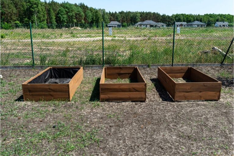 A Widow Never Explained Why She Kept a Single Empty Garden Bed Untouched for Twenty Years, Until Her Daughter Finally Asked
