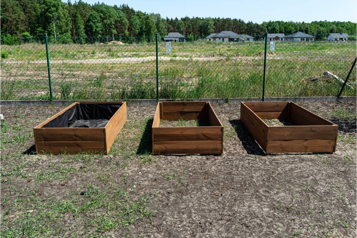 A Widow Never Explained Why She Kept a Single Empty Garden Bed Untouched for Twenty Years, Until Her Daughter Finally Asked