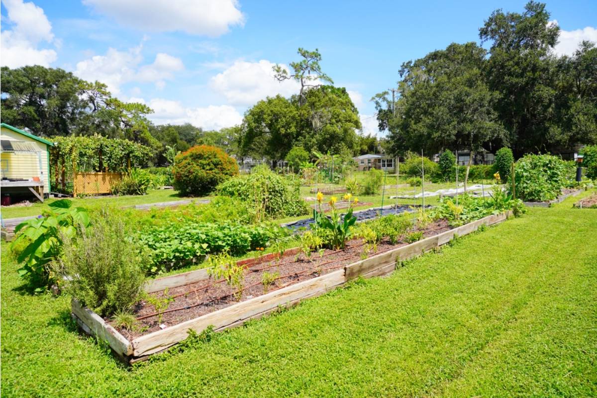 Homeowner Says a Property Developer Offered to "Preserve" the Community Garden During Construction, Then Paved Over It Within a Month