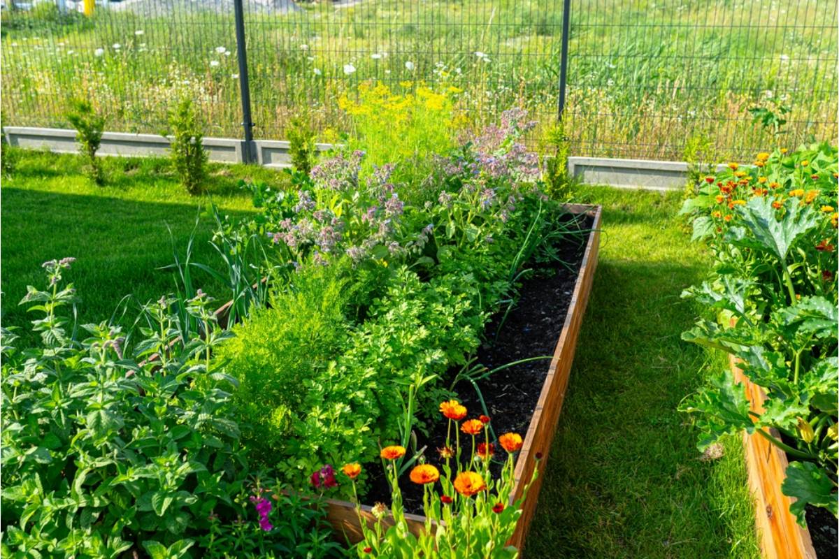 A Family Debated for Years Whether to Keep Their Late Grandfather's Vegetable Garden Going, Then a Neighbor Made the Decision for Them