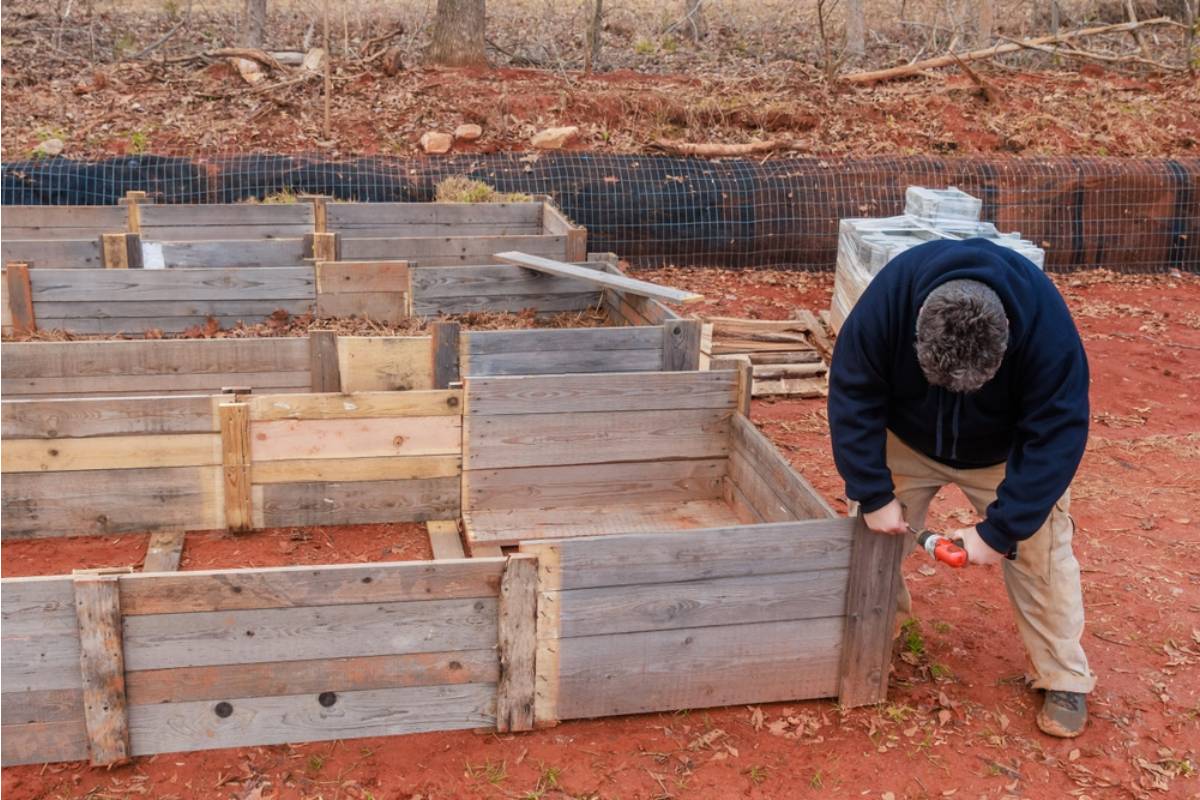 Homeowner Says Her Brother-in-Law Offered to Build Raised Beds as a Housewarming Gift, Then Installed Them Directly Over the Septic Line