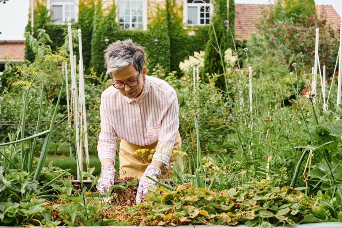Three Generations of the Same Family Have Grown Vegetables in This Backyard, Until a New City Ordinance Threatened to End It This Spring