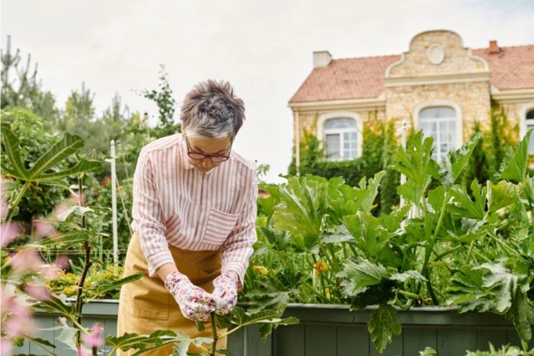 A Woman's Ex-Mother-in-Law Still Shows Up to Tend a Garden Bed She Planted Years Before the Divorce Was Final
