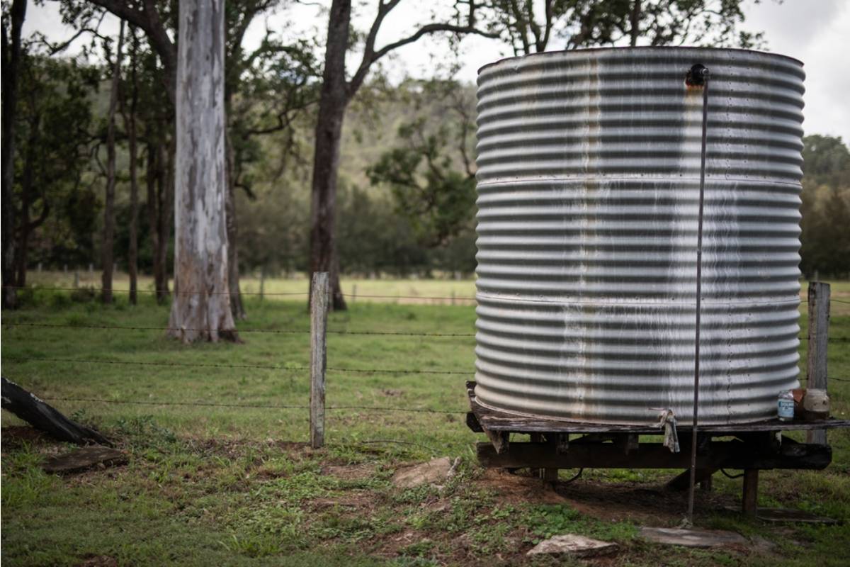 Homeowner Says a Neighbor's New Above-Ground Rainwater Collection Tank Leaks Directly Into the One Garden Bed That Never Floods