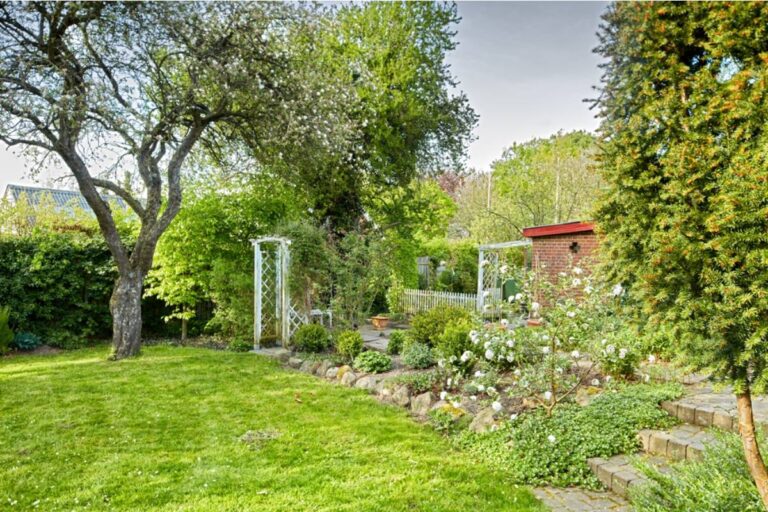 He Refused to Sell the House for Thirty Years Because of What Was Planted Along the Back Fence, and His Children Finally Understand Why